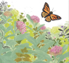 papillon